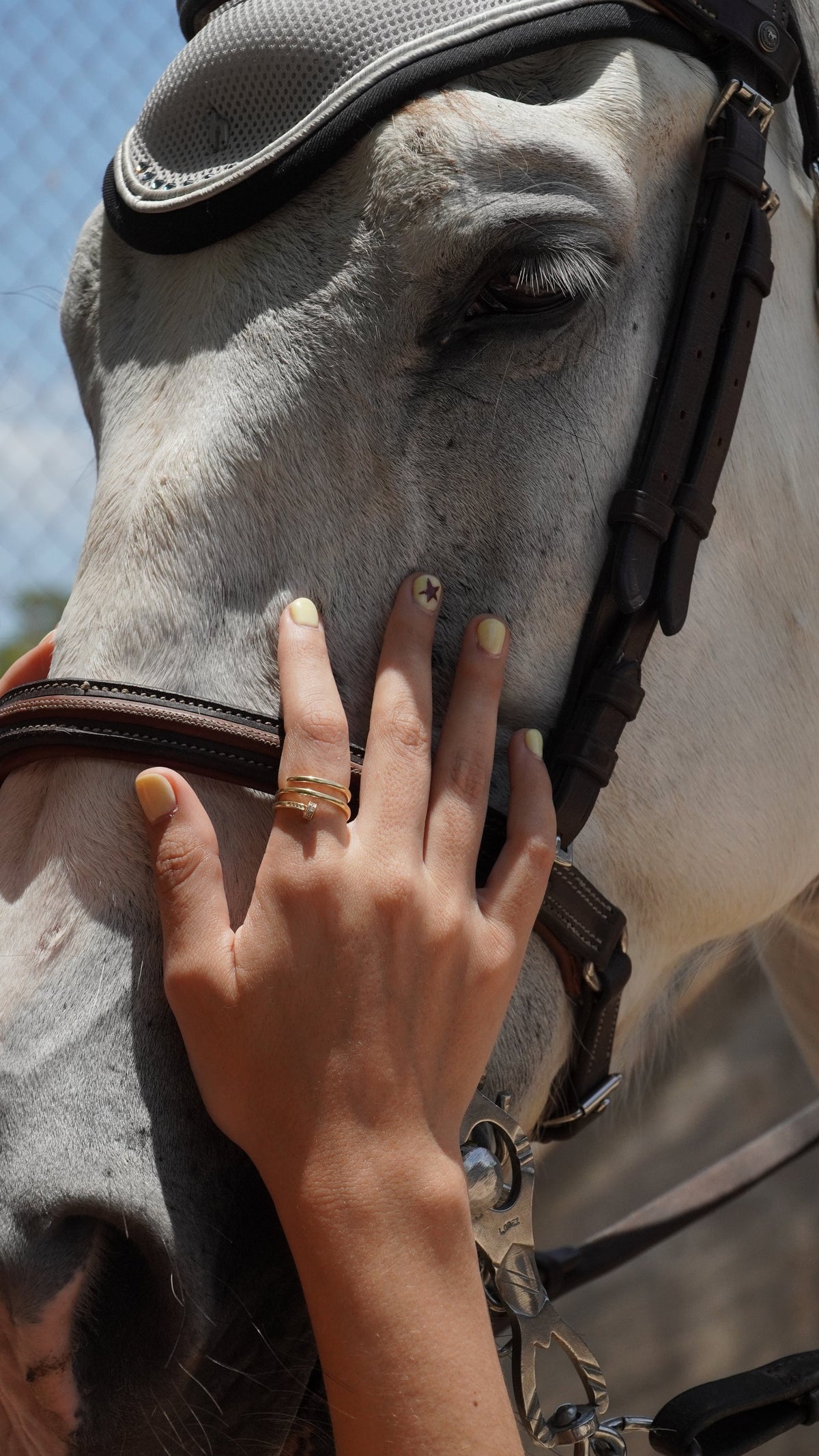 Anillo Juste un Clou Cartier