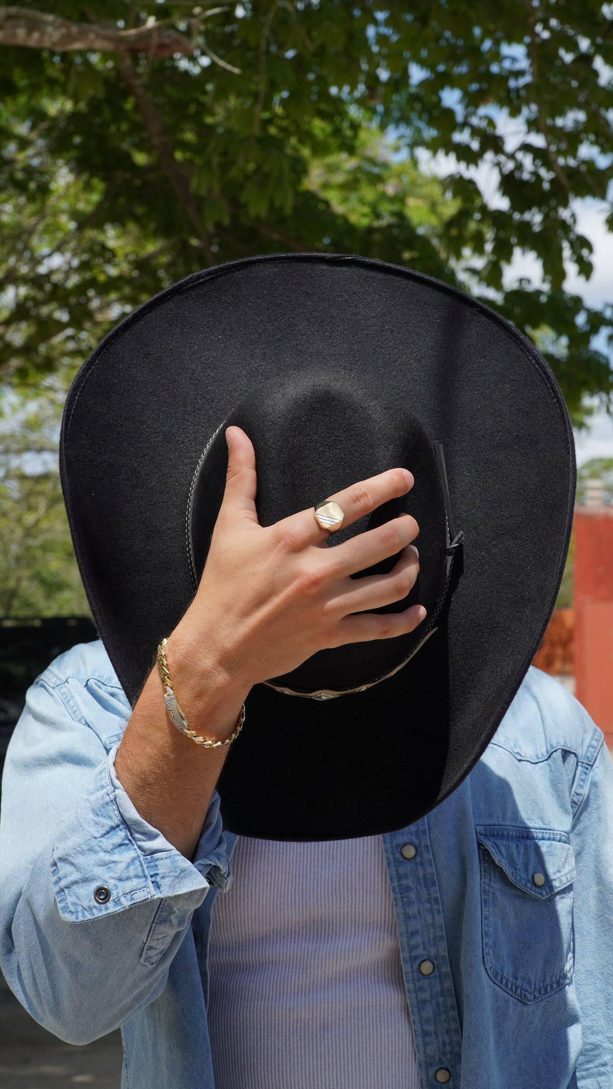 Anillo Sello