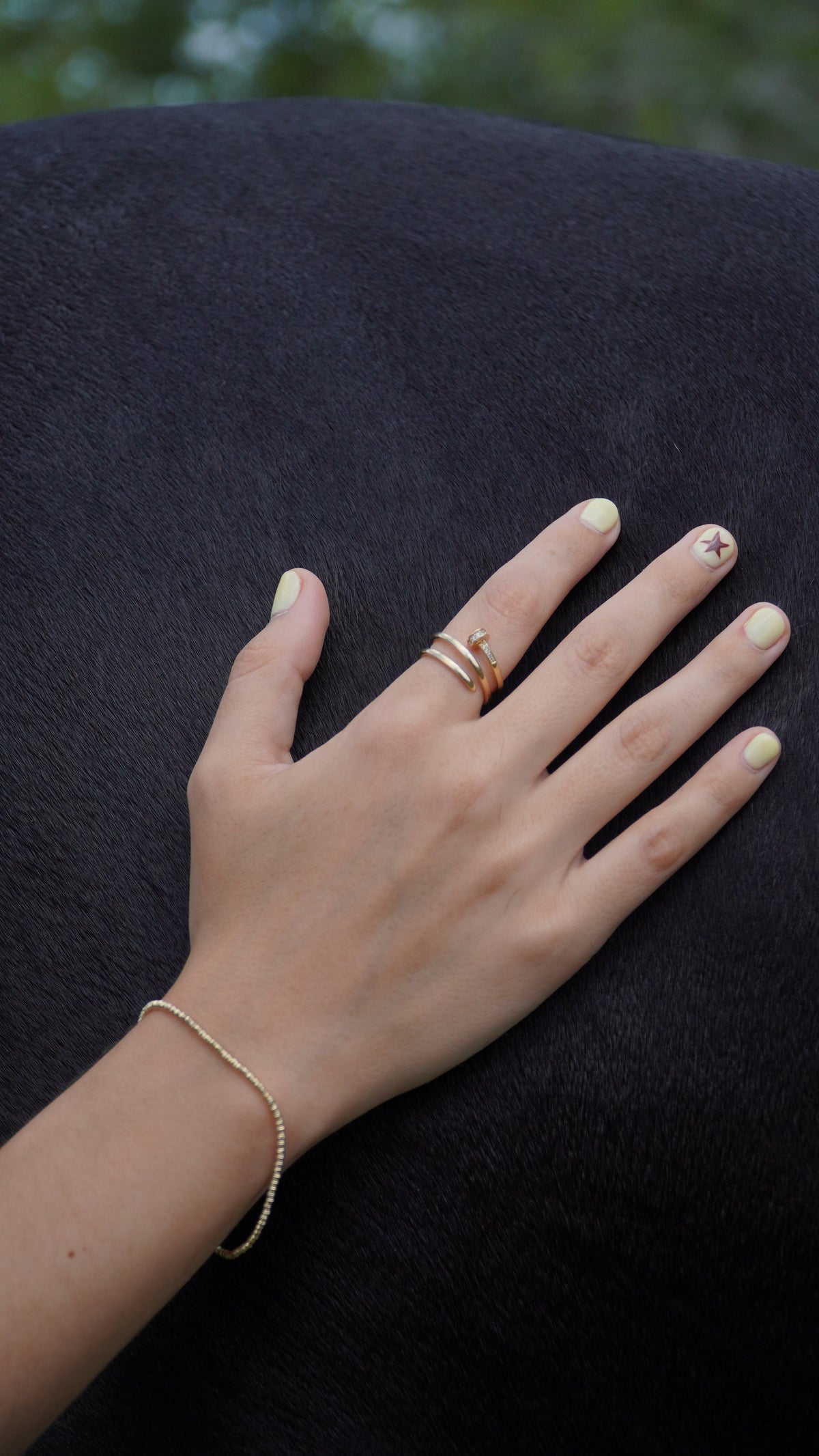 Anillo Juste un Clou Cartier